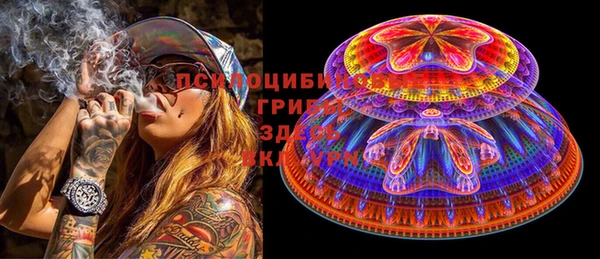 дживик Баксан