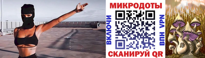 Купить где  Куса  Галлюциногенные грибы MAGIC MUSHROOMS 